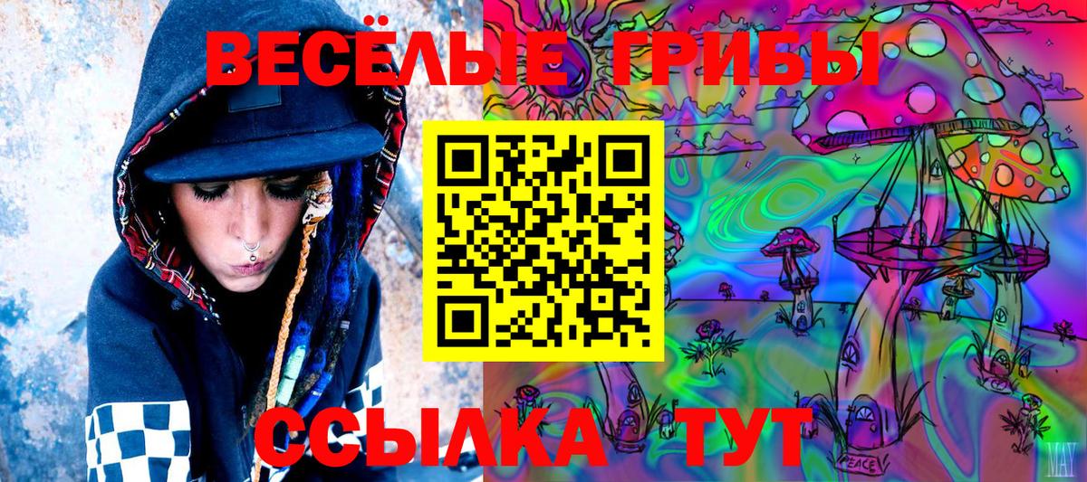 Псилоцибиновые грибы MAGIC MUSHROOMS Туапсе