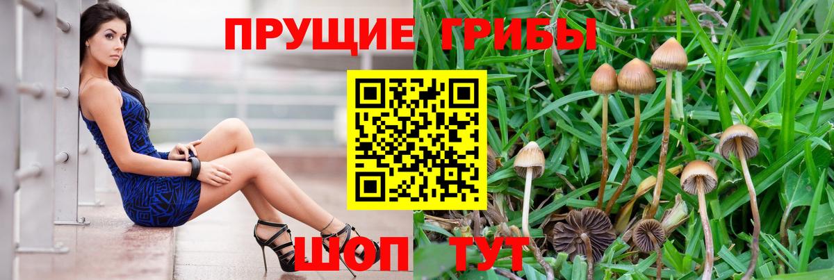 Галлюциногенные грибы Psilocybine cubensis  Галлюциногенные грибы GOLDEN TEACHER  продажа наркотиков  Туапсе  Вход с VPN 